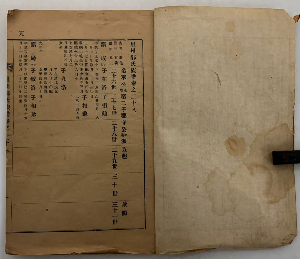 성주도씨족보(星州都氏族譜) 29卷 16冊 완질 / 겹장본 노루지로 되어있습니다.