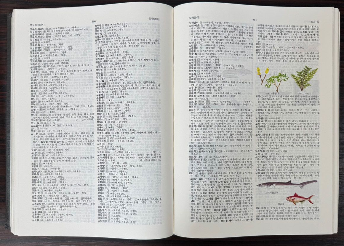 우리말큰사전 1~4 전4권 완질 / 어문각 / 1992년 초판
