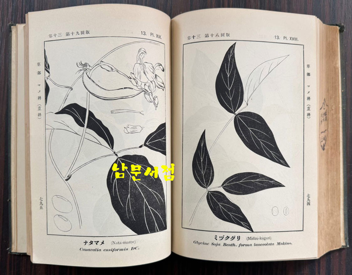 증정 초목도설 초부 3집 / 이누마 요쿠사이 . 마키노 도미타로 / 성미당발행 / 1913년 초판 / 562페이지